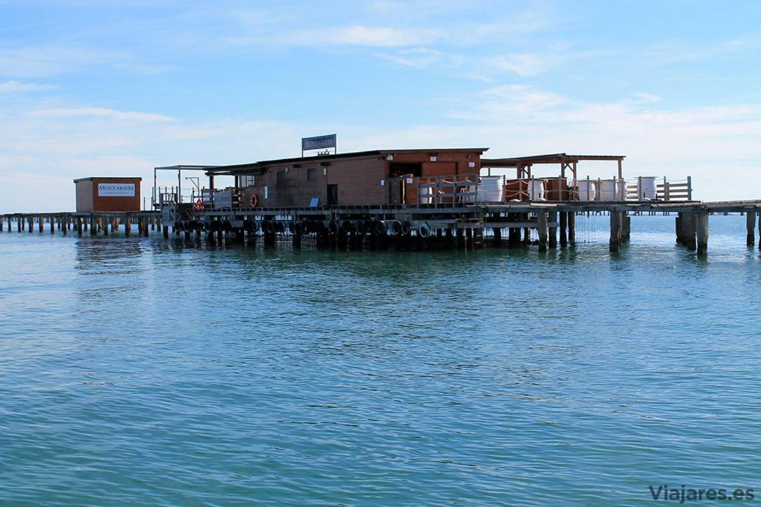 Apartamento Frente Al Mar *